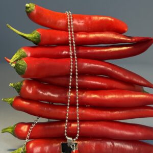 Collar Mojo Plateado